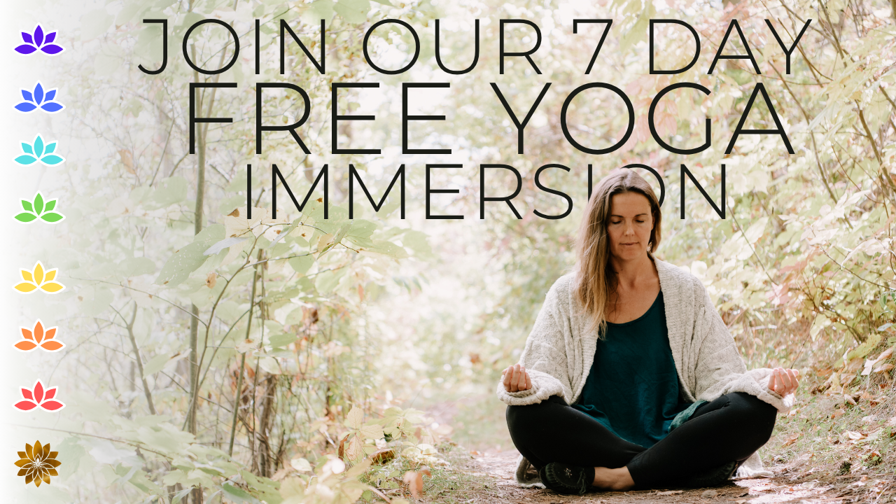 Join our free immersion